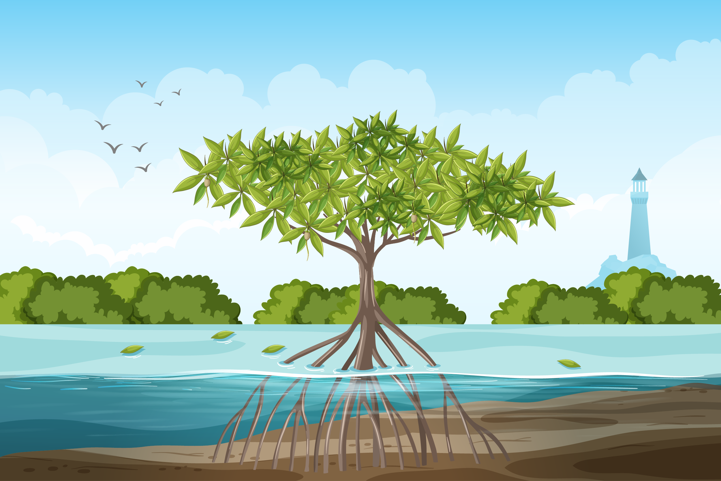 world mangrove day
